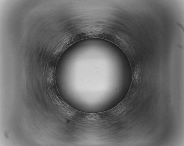 X0000102041012200807251409