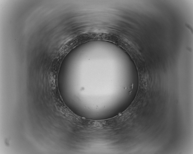 X0000102041013200807251409