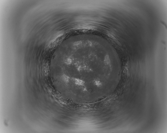 X0000102041014200807251409