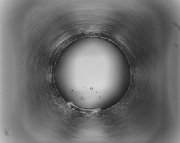 X0000102041015200807251409