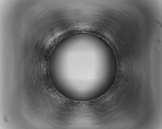 X0000102041016200807251409