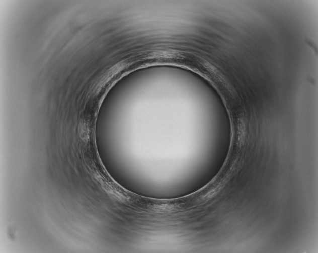 X0000102041017200807251409