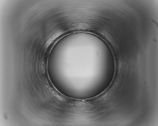 X0000102041018200807251409