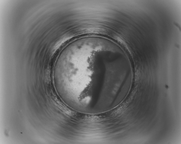 X0000102041019200807251409