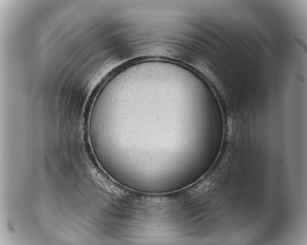 X0000102041020200807251409