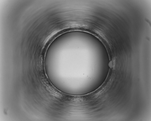 X0000102041021200807251409