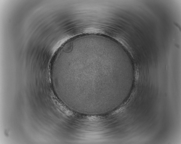 X0000102041022200807251409