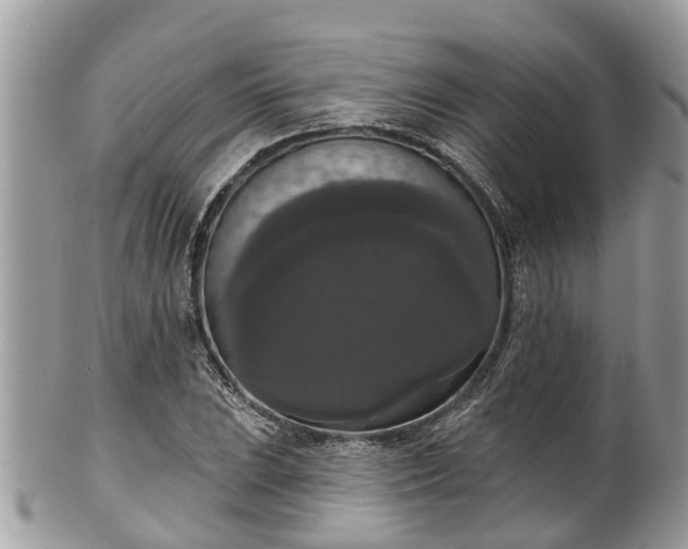 X0000102041023200807251409