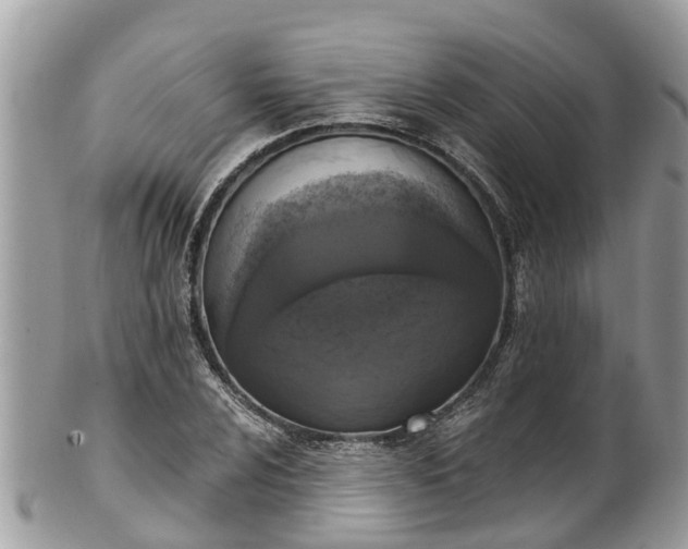 X0000102041024200807251409