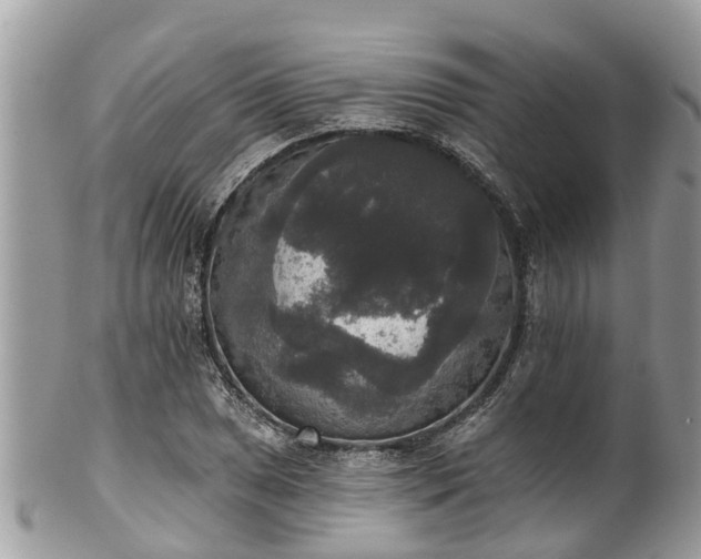 X0000102041025200807251409