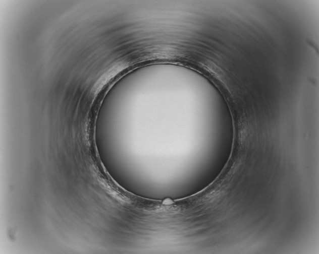 X0000102041026200807251410