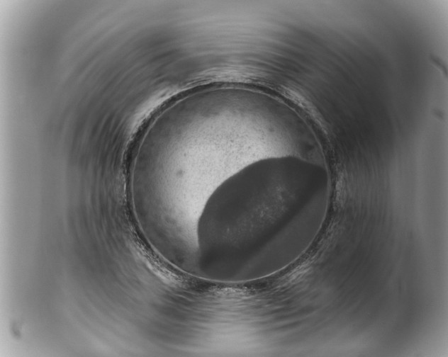 X0000102041027200807251410