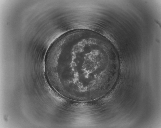 X0000102041028200807251410