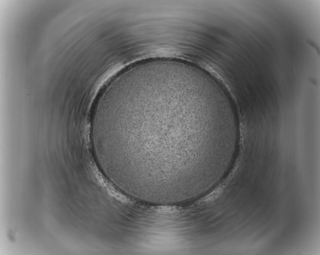 X0000102041029200807251410