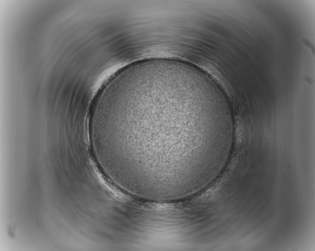 X0000102041030200807251410