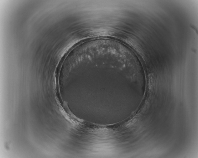 X0000102041031200807251410