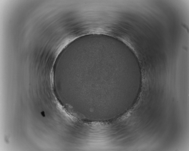 X0000102041032200807251410