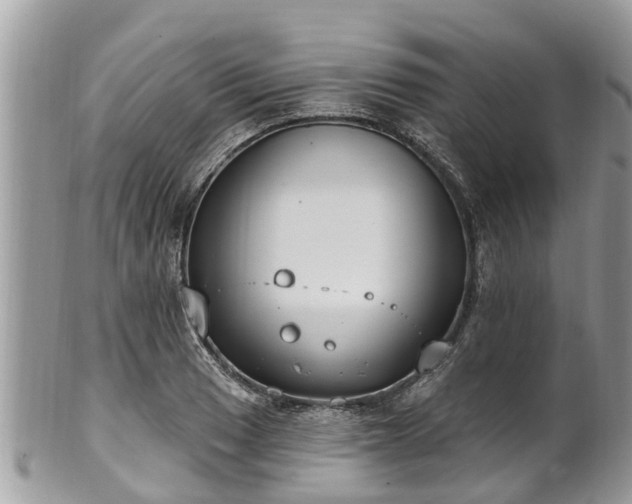 X0000102041033200807251410