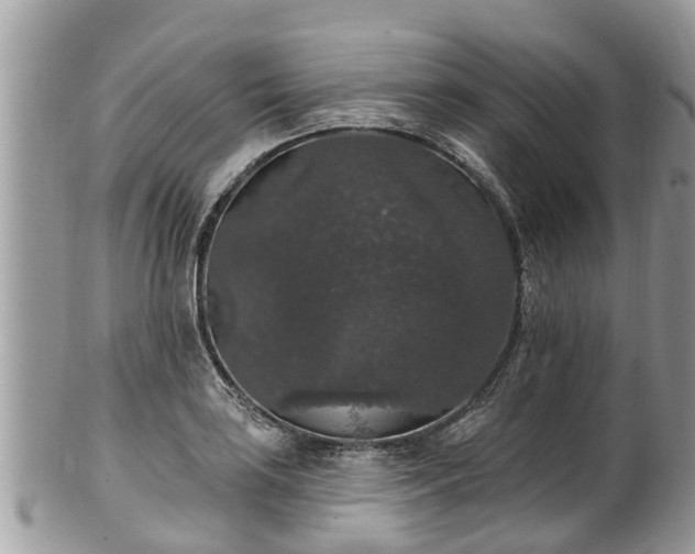 X0000102041035200807251410