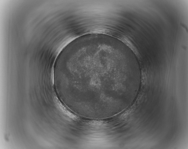 X0000102041036200807251410