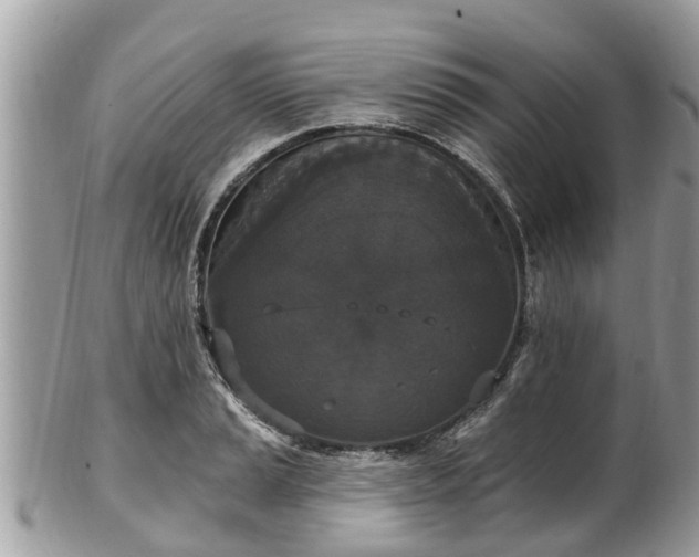 X0000102041037200807251410