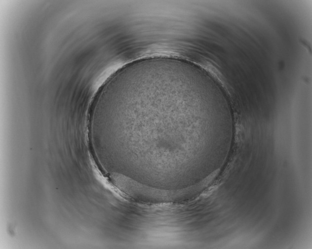 X0000102041038200807251410