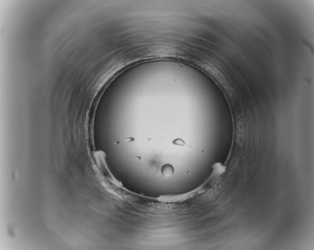 X0000102041039200807251410