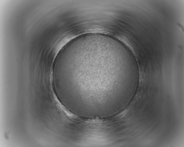 X0000102041040200807251410