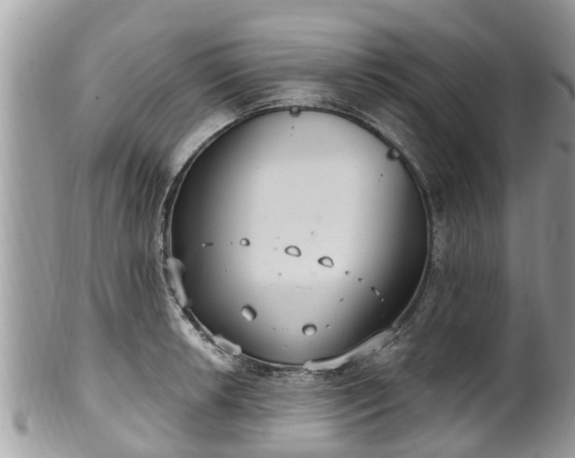 X0000102041042200807251410