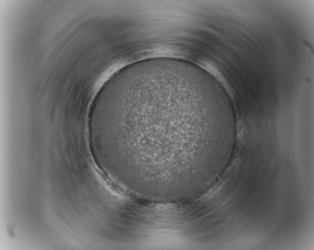 X0000102041043200807251410