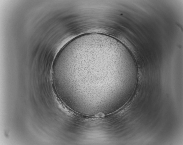 X0000102041044200807251410