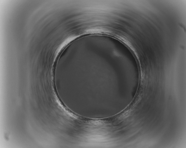 X0000102041045200807251410