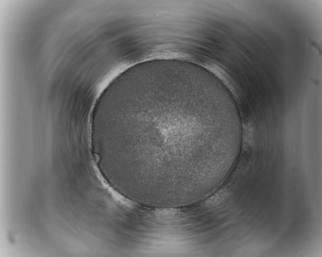 X0000102041046200807251410