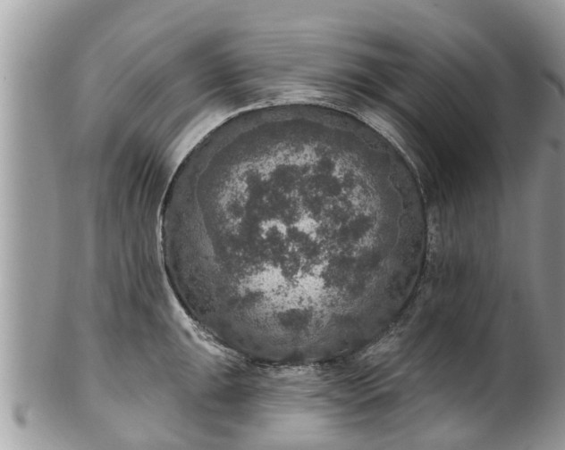 X0000102041047200807251410