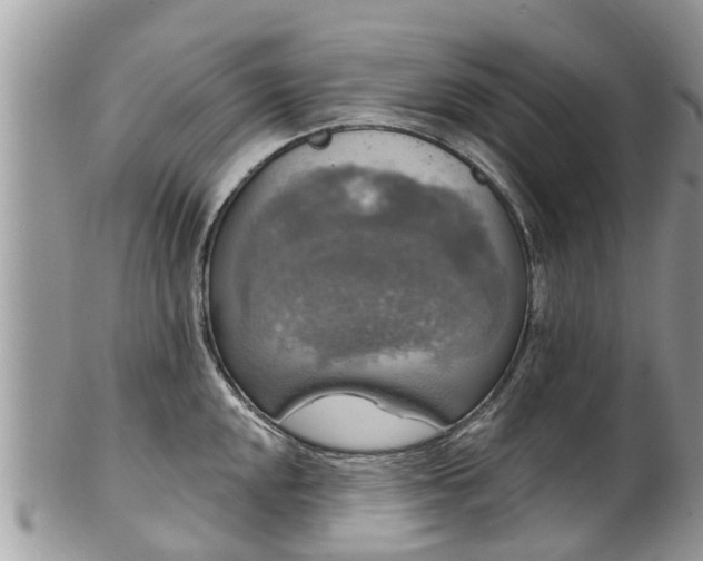 X0000102041048200807251410