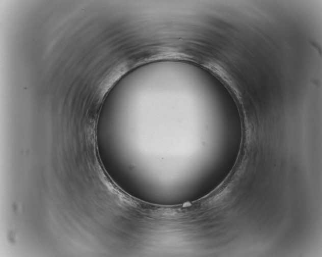 X0000102041049200807251410