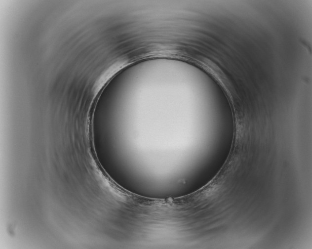 X0000102041050200807251410