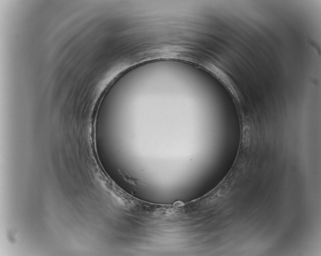 X0000102041051200807251410