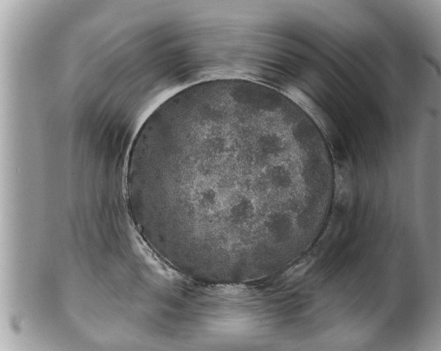 X0000102041052200807251410