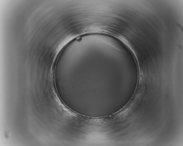 X0000102041053200807251410