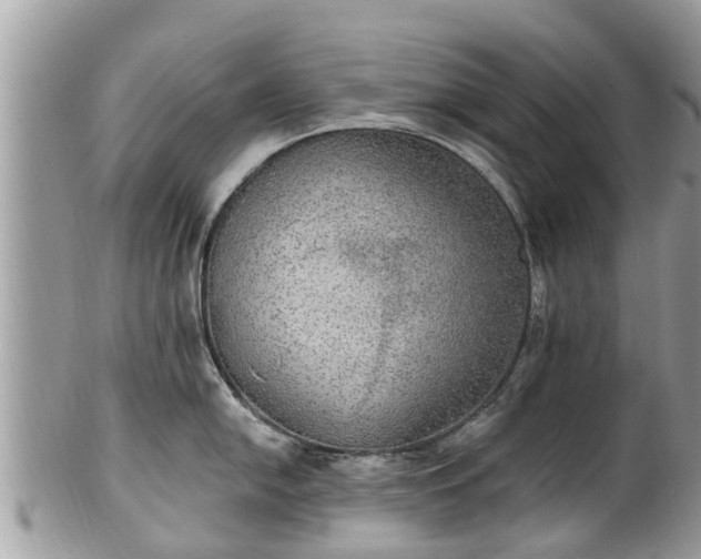 X0000102041054200807251410