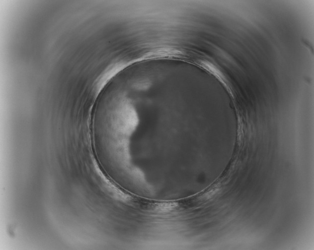 X0000102041055200807251410