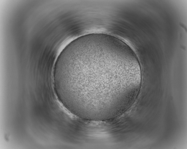 X0000102041056200807251410