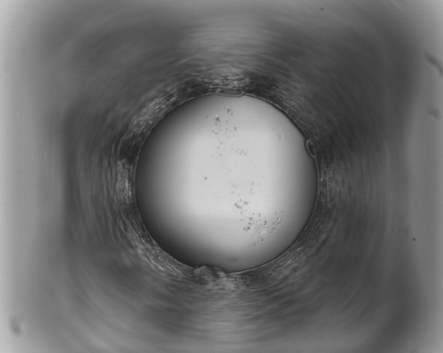 X0000102041058200807251409