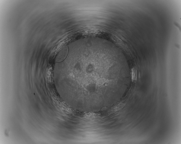 X0000102041059200807251409