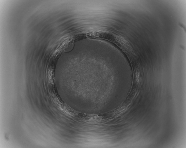 X0000102041060200807251409