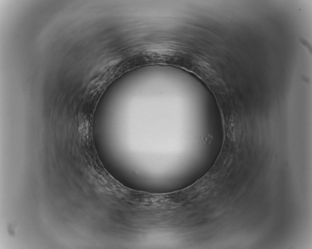 X0000102041061200807251409