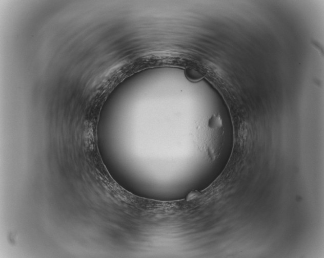 X0000102041062200807251409