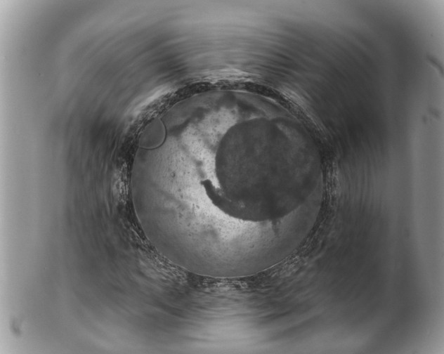 X0000102041063200807251409