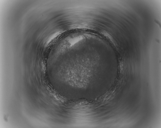 X0000102041064200807251409